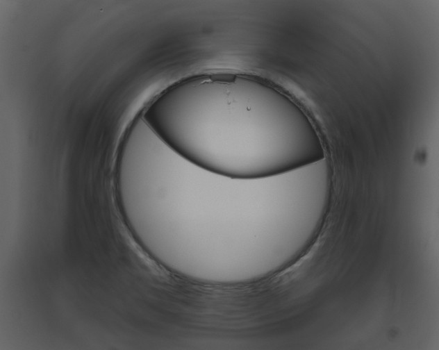 X0000094071469200710190945