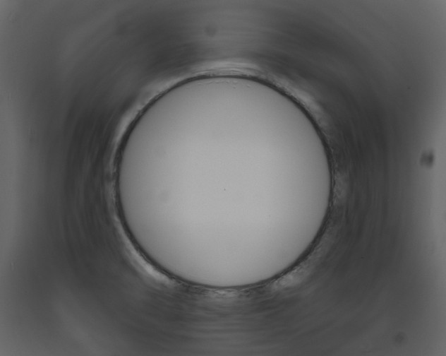 X0000094071470200710190945