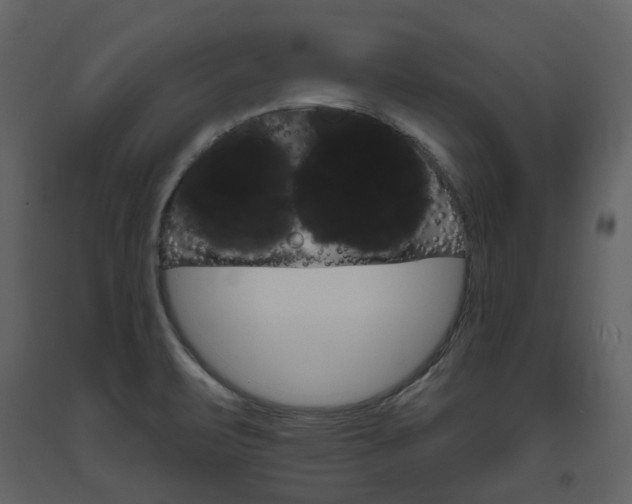 X0000094071471200710190945