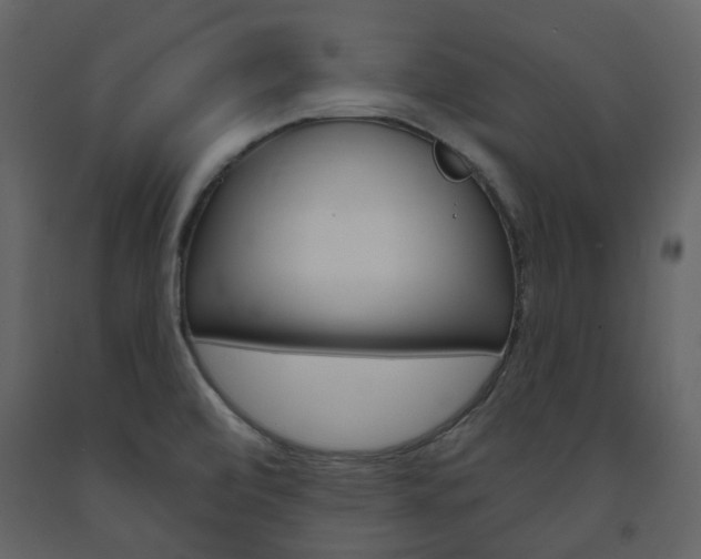 X0000094071472200710190945
