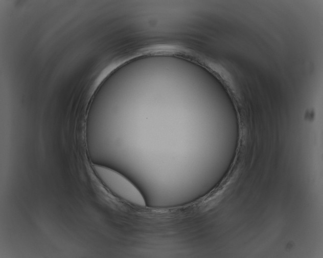 X0000094071473200710190945