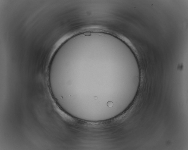 X0000094071474200710190945