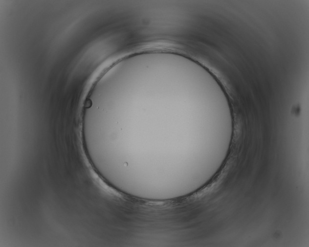X0000094071478200710190944