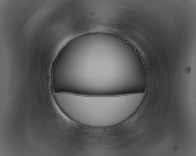 X0000094071479200710190944