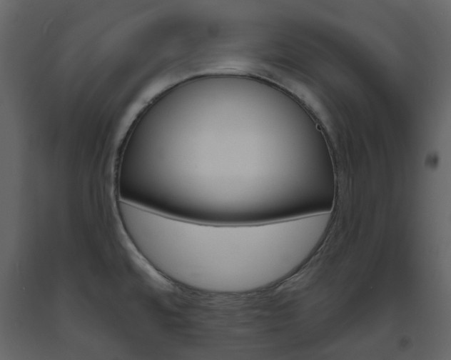 X0000094071480200710190944
