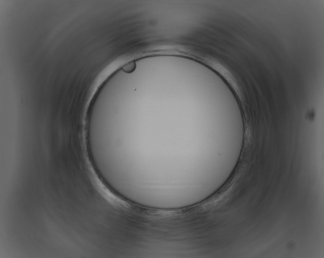 X0000094071482200710190944