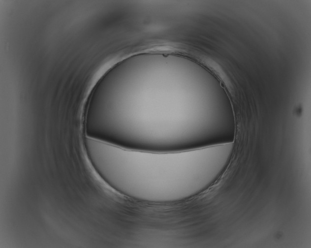 X0000094071483200710190944