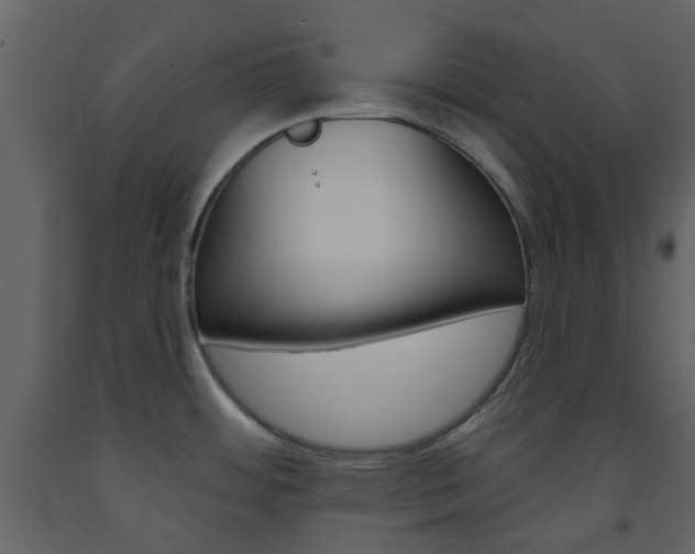 X0000094071484200710190944
