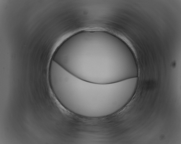 X0000094071485200710190944