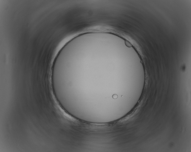 X0000094071486200710190944