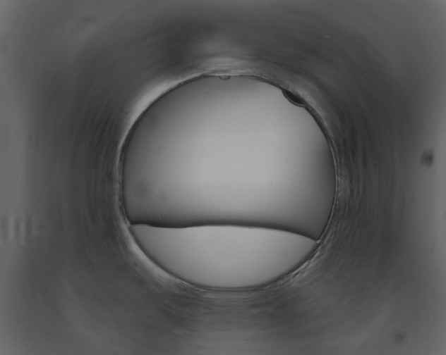 X0000094071487200710190944