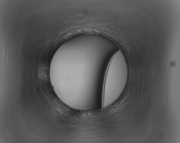 X0000094071490200710190944