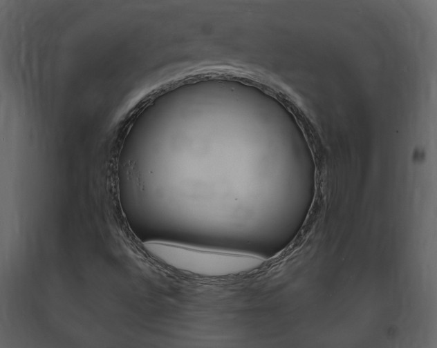 X0000094071496200710190944