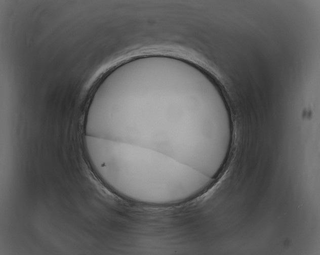 X0000094071498200710190944