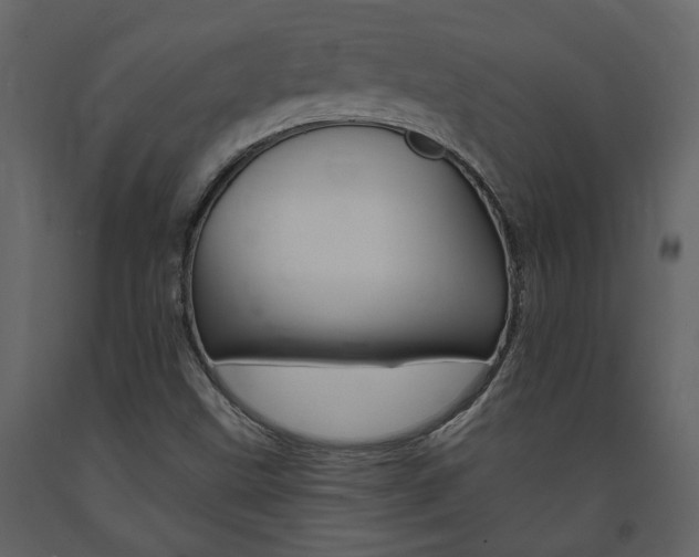 X0000094071499200710190944