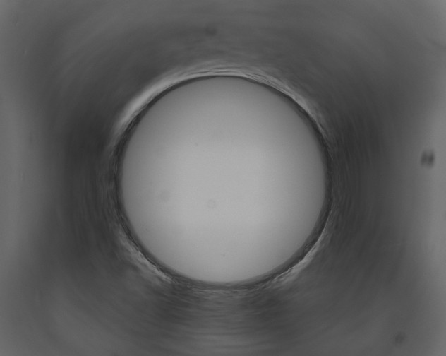 X0000094071502200710190944