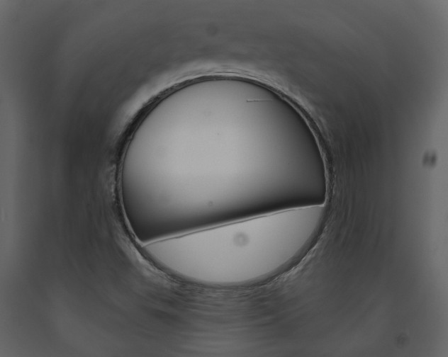 X0000094071503200710190944