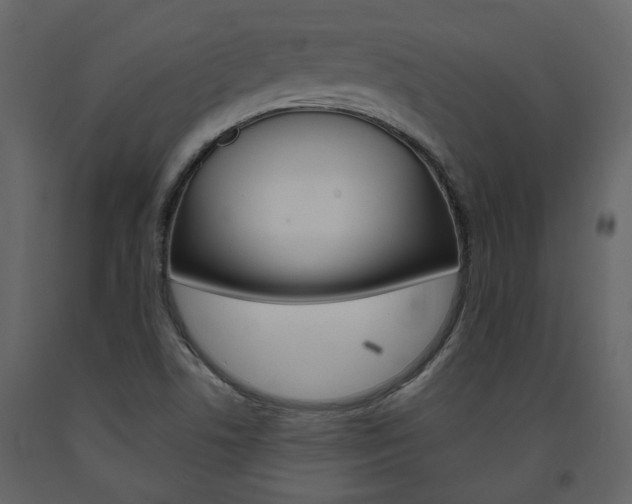 X0000094071506200710190944