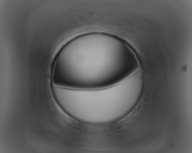 X0000094071508200710190944