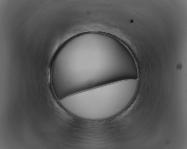 X0000094071509200710190944