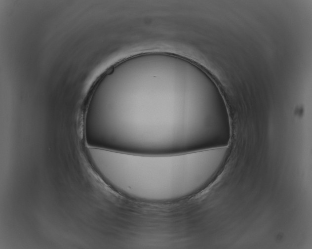 X0000094071510200710190944