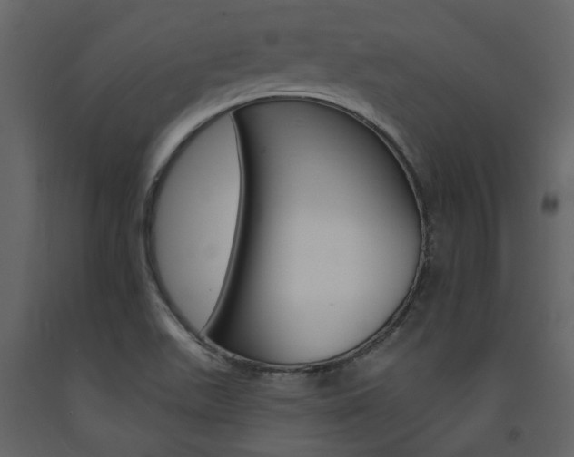 X0000094071511200710190944
