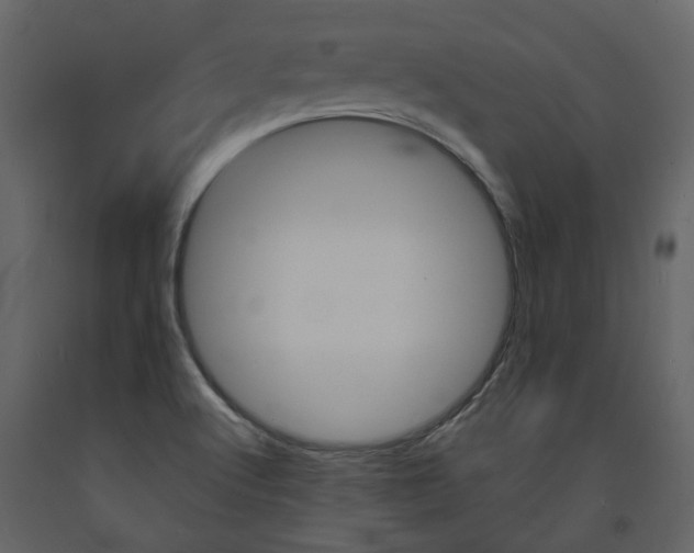 X0000094071512200710190944