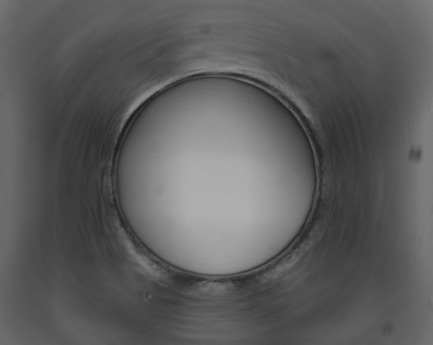 X0000094071513200710190944