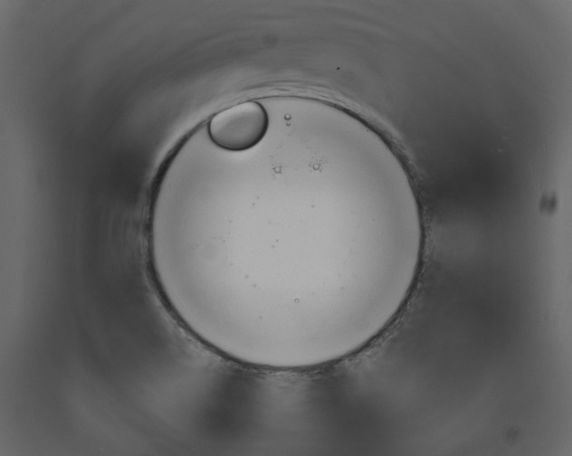 X0000094071514200710190944