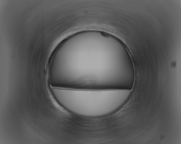 X0000094071515200710190944