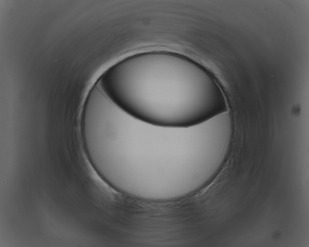 X0000094071516200710190944