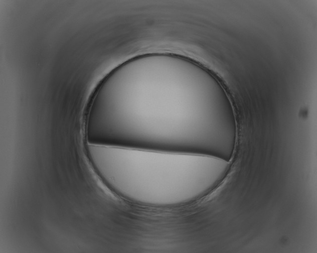 X0000094071517200710190944