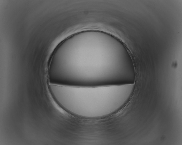 X0000094071519200710190944