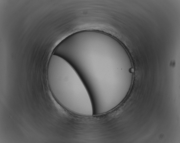 X0000094071521200710190944