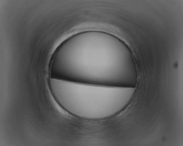 X0000094071523200710190944