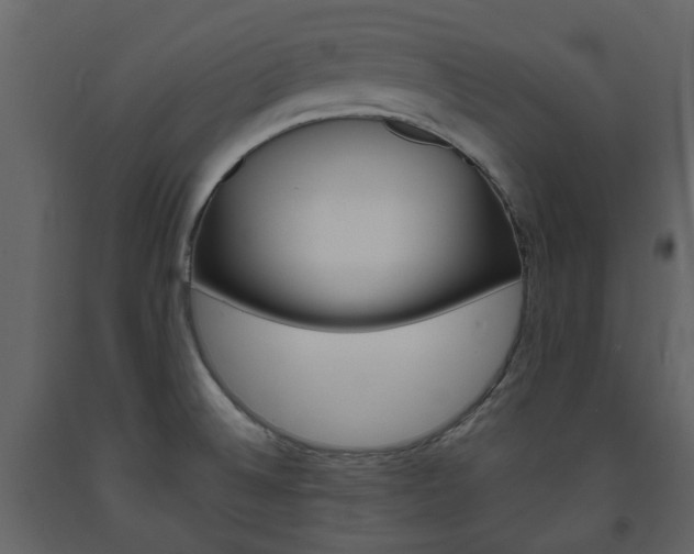 X0000094071524200710190944