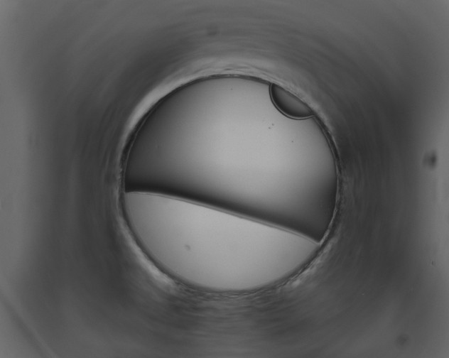 X0000094071525200710190944