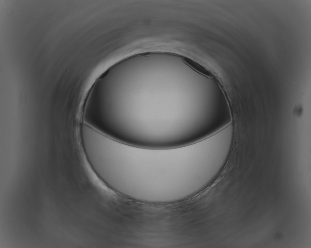 X0000094071528200710190944