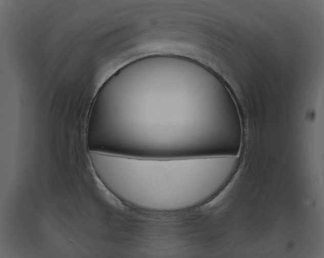 X0000094071529200710190944