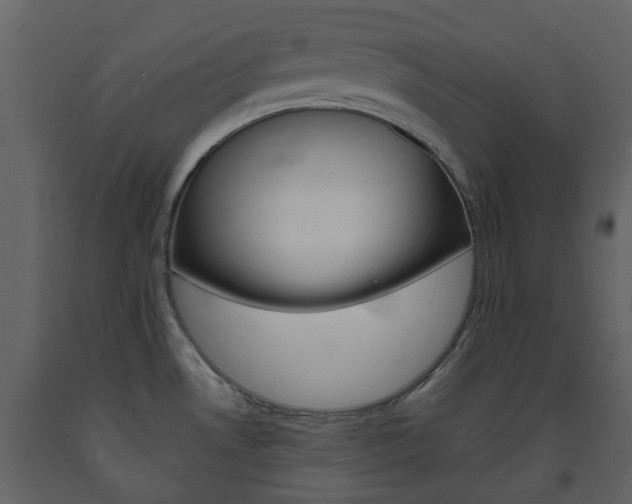 X0000094071530200710190944