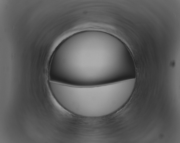 X0000094071531200710190944