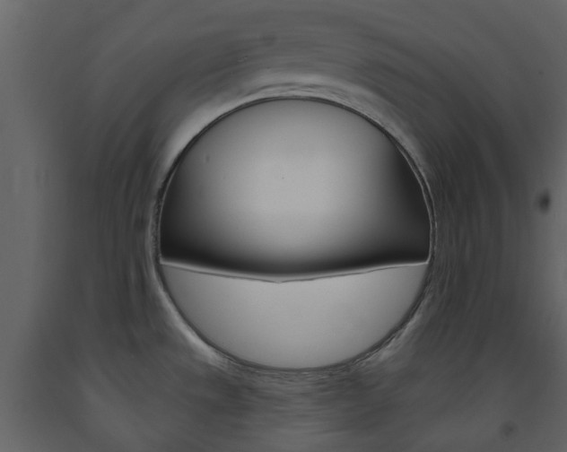 X0000094071533200710190944