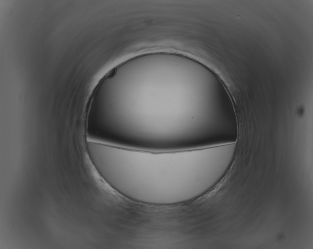 X0000094071534200710190944
