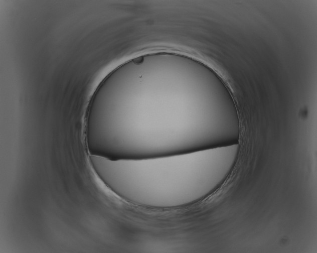 X0000094071535200710190944