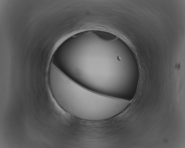 X0000094071536200710190944