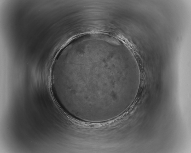 X0000094070002200710191128
