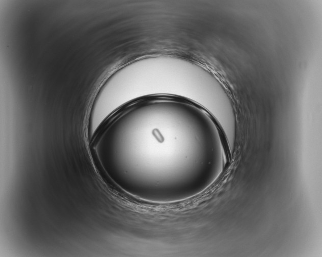 X0000094070003200710191128