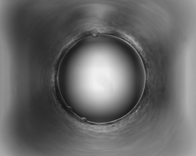 X0000094070010200710191128