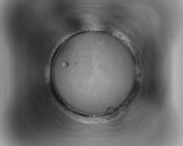 X0000094070012200710191128