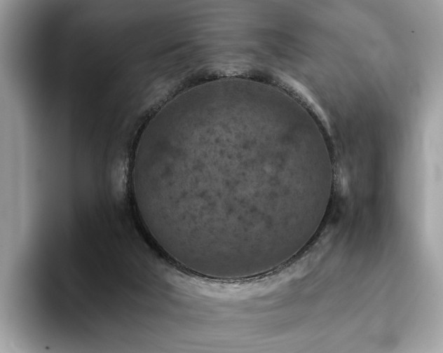 X0000094070018200710191128